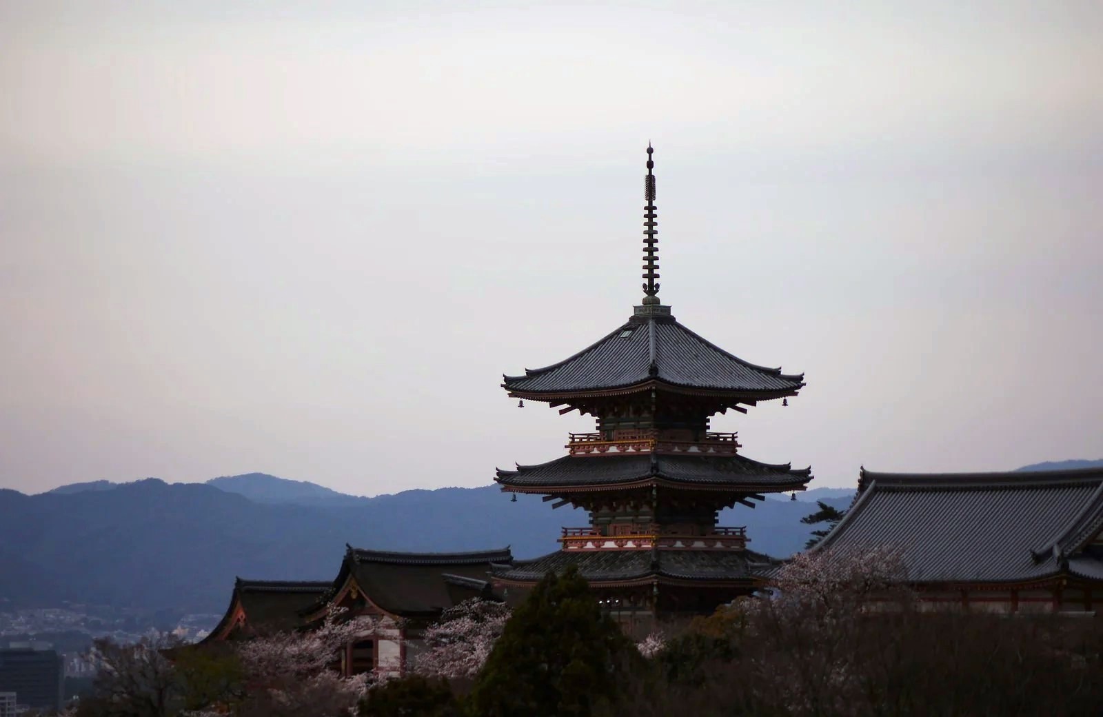 Traditional Uji tea gardens